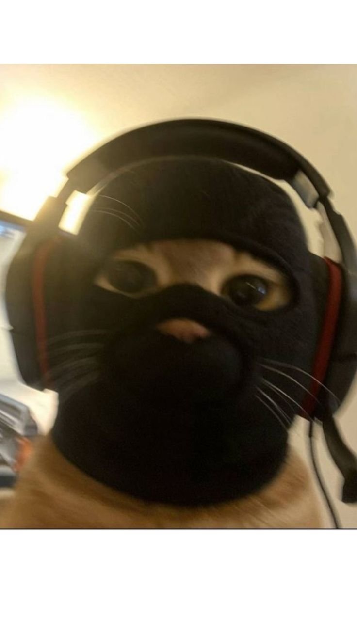 Avatar 3